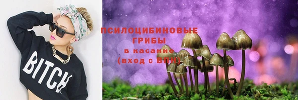 дмт Алексеевка