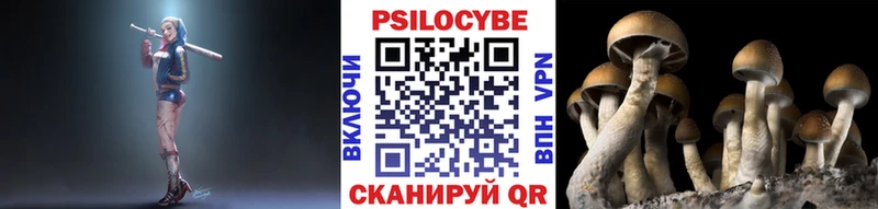 Псилоцибиновые грибы Psilocybine cubensis  Бронницы 